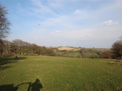 Picture 23